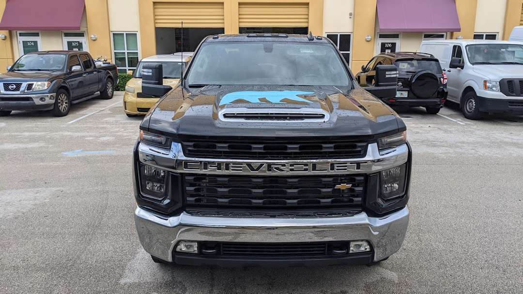 Papa Bear Auto Transport