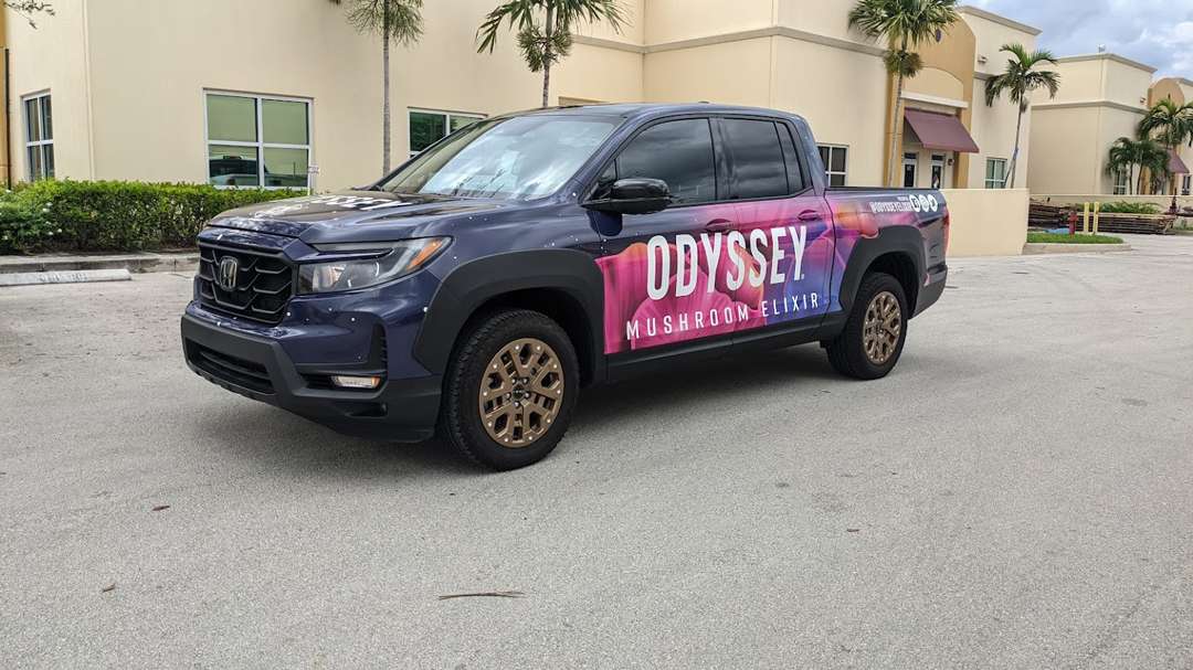 Odyssey Mushroom Elixir