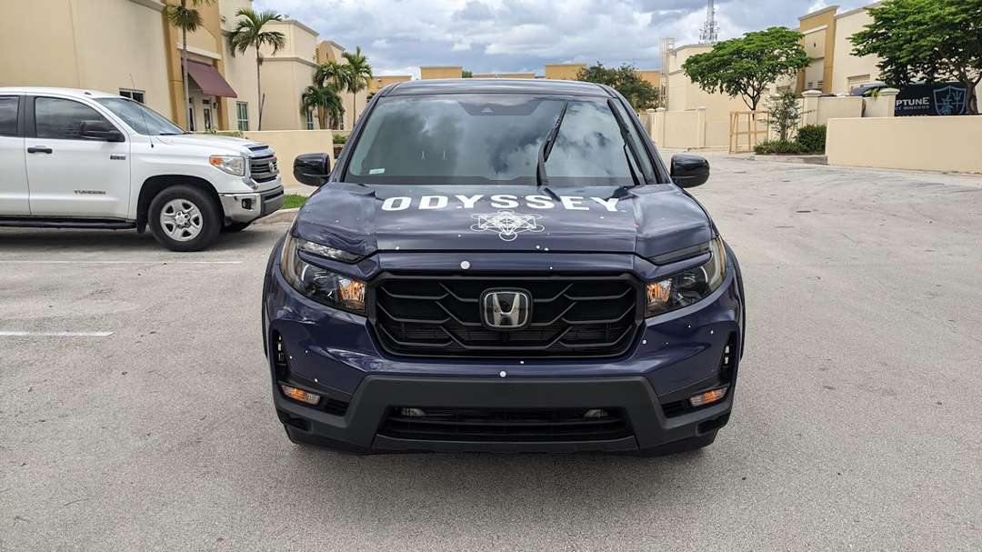 Odyssey Mushroom Elixir