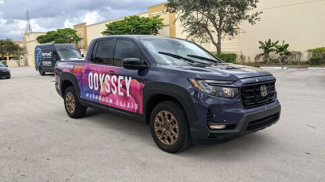 Odyssey Mushroom Elixir