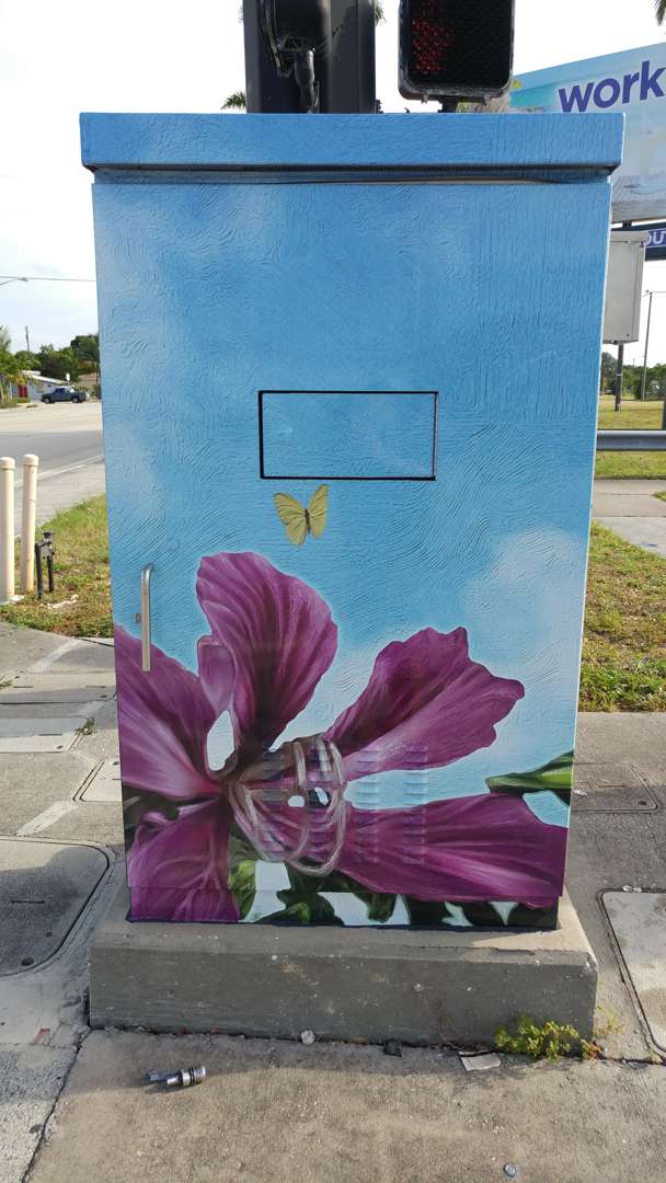Electrical Box Wrap