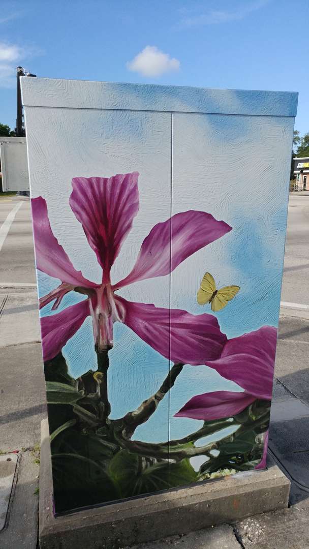 Electrical Box Wrap