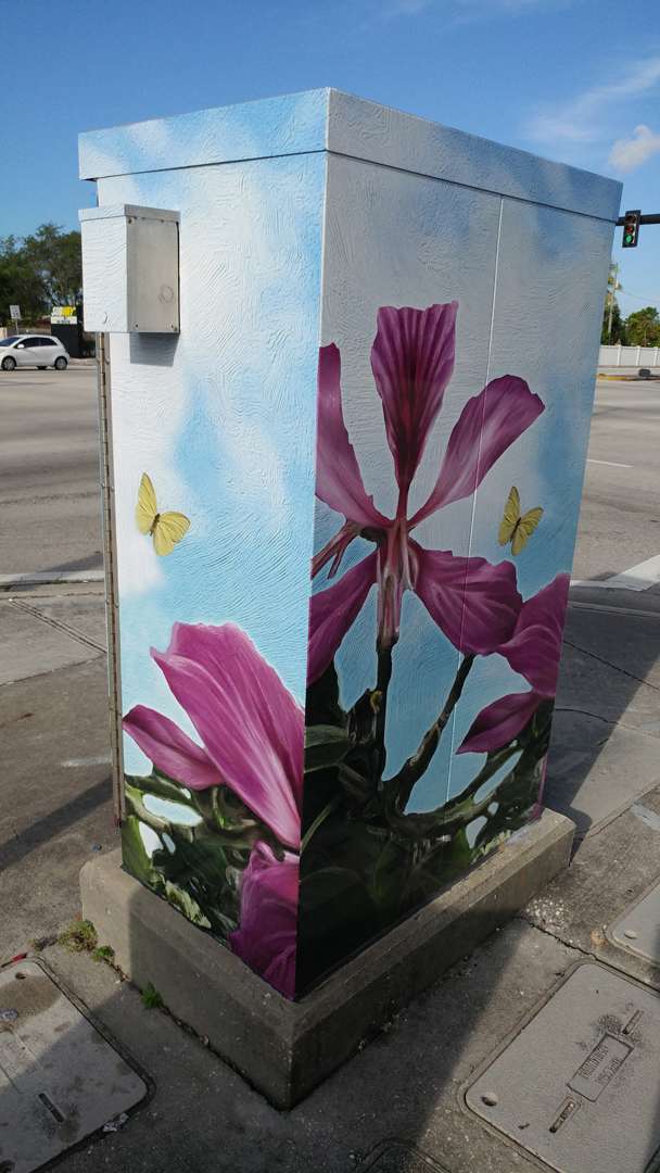 Electrical Box Wrap
