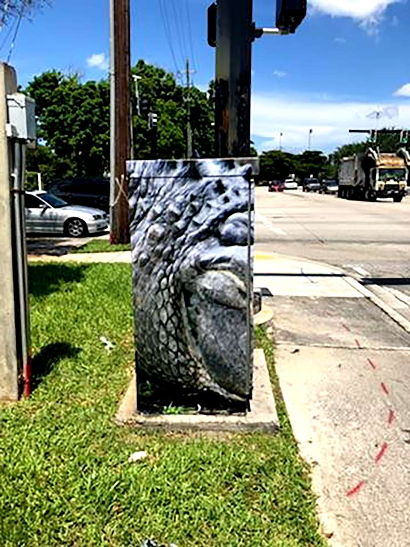 Electrical Box Wrap