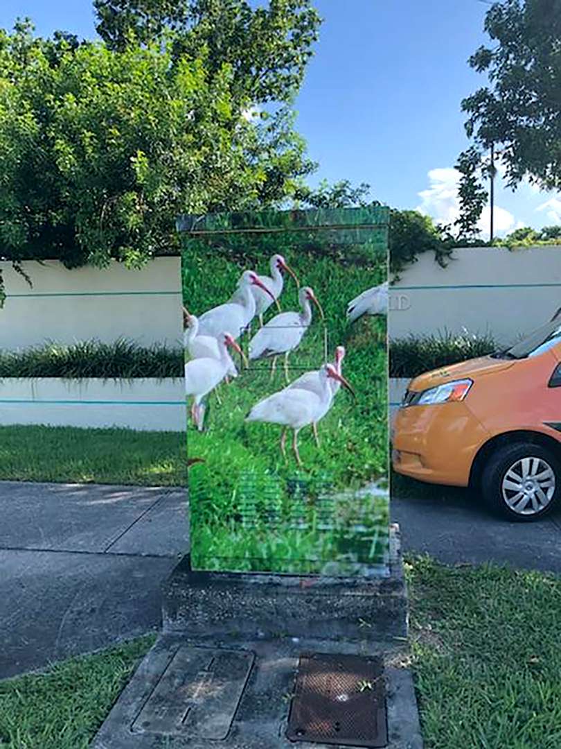 Electrical Box Wrap