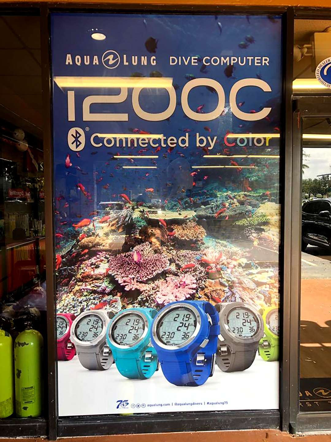 Store Front Wrap & Lettering