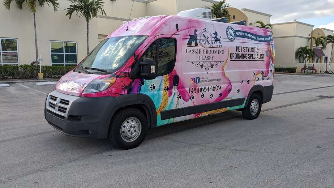 Cassie grooming Classy