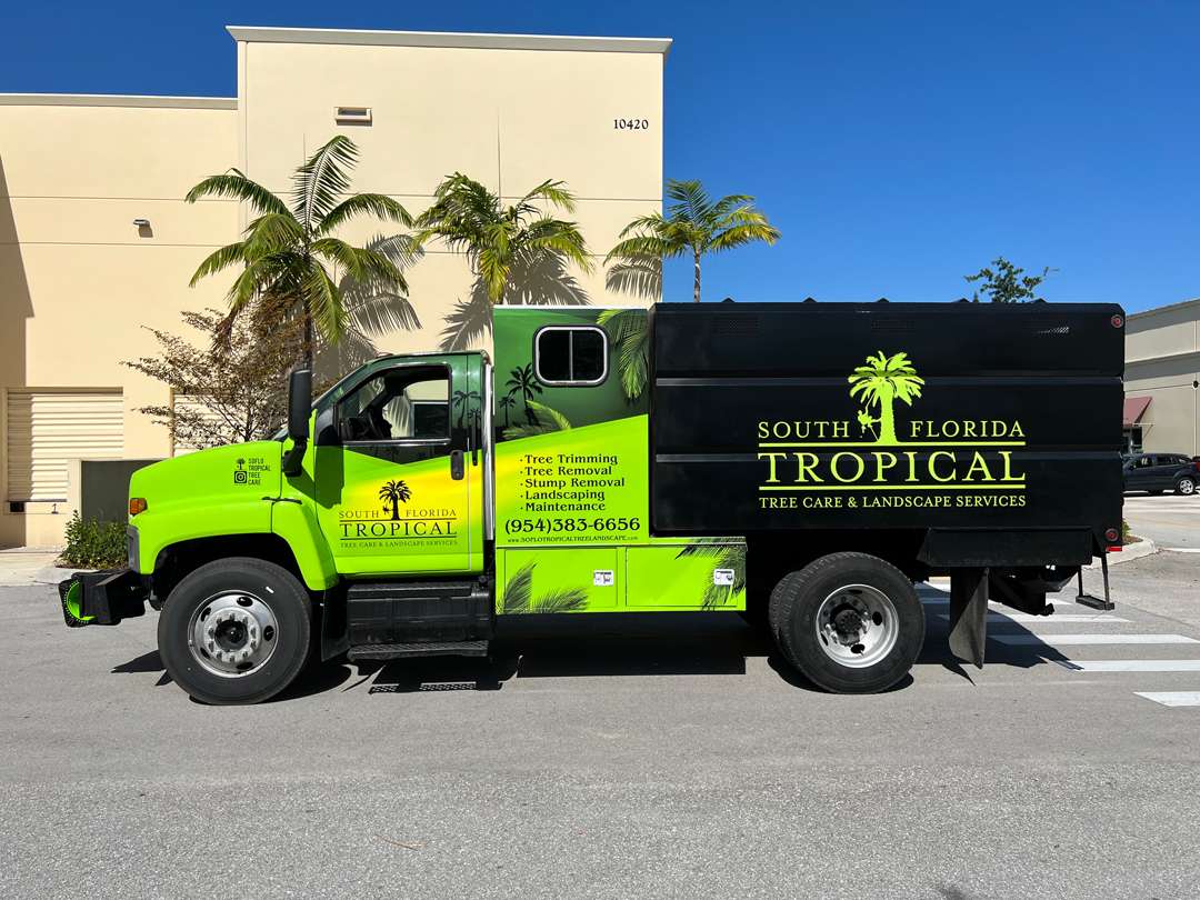 South Florida Tropical