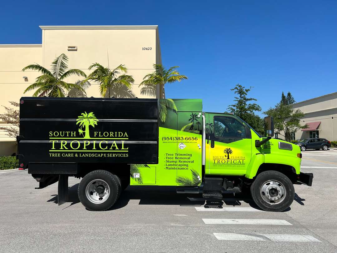 South Florida Tropical