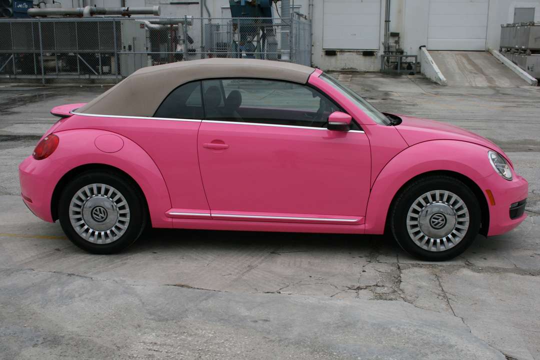 Color Change - Bright Pink