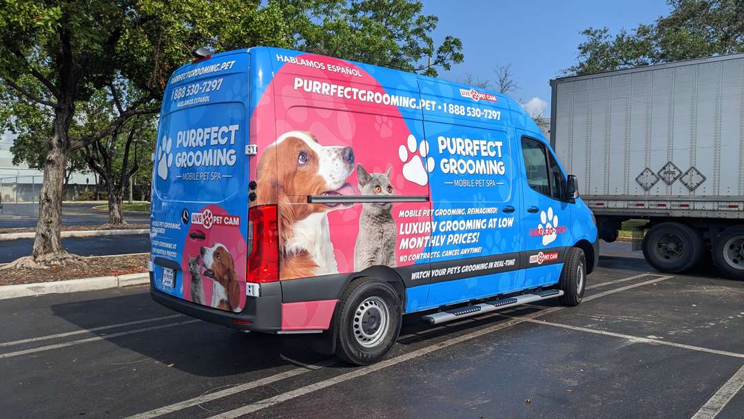 Purrfect Grooming